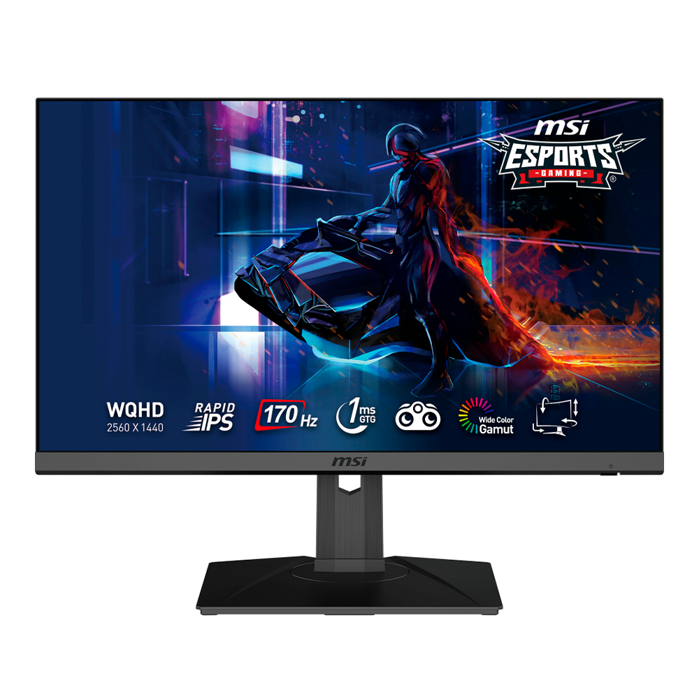 Monitor de juegos QHD 1440P de 27 pulgadas, monitor de computadora sin  marco de 144 Hz/170Hz, IPS 5 ms (GTG), monitor de PC FreeSync y GamePlus